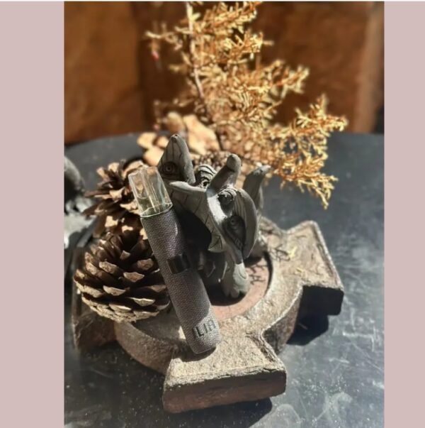 01 ILIA哩啞皮革主機❤️一代通用 ❤️質感絕美❤️主機故障率極低