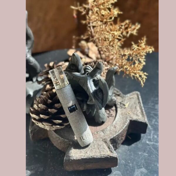 04 ILIA哩啞皮革主機❤️一代通用 ❤️質感絕美❤️主機故障率極低